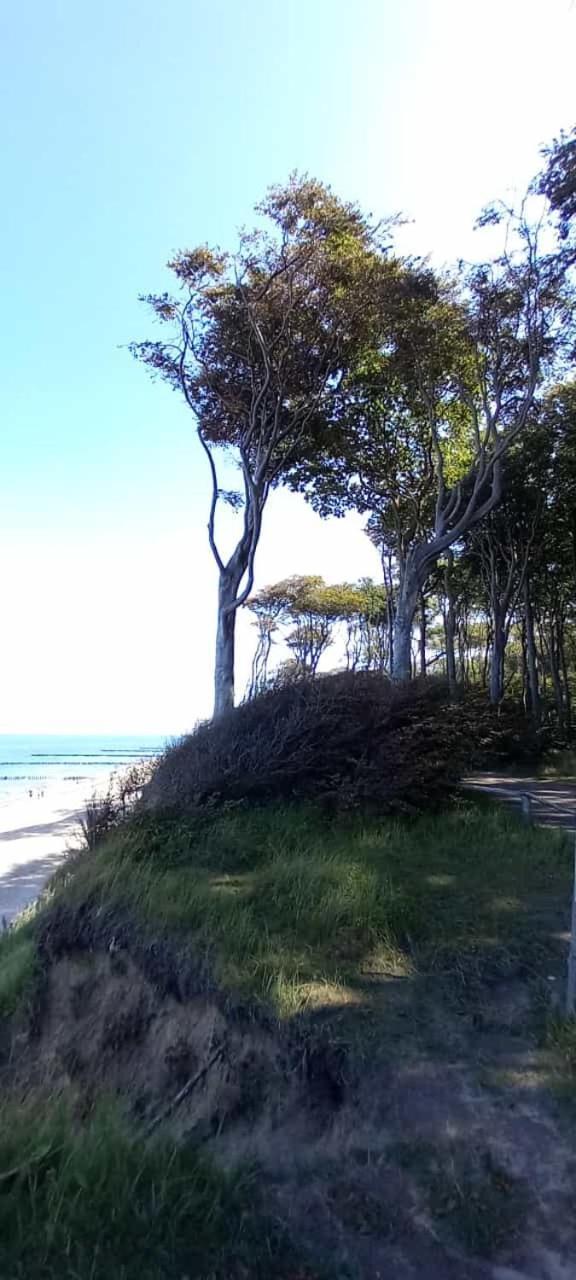 Familienurlaub Mit Hund An Der Ostsee Admannshagen-Bargeshagen Exterior photo
